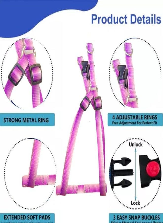 KittuPet طقم حزام ومقود قابل للتعديل من KittuPet Ombre Colorblock للكلاب الصغيرة والمتوسطة الحجم للتدريب الخارجي والجري باللونين الأبيض والبنفسجي (15 مم) - Image 5